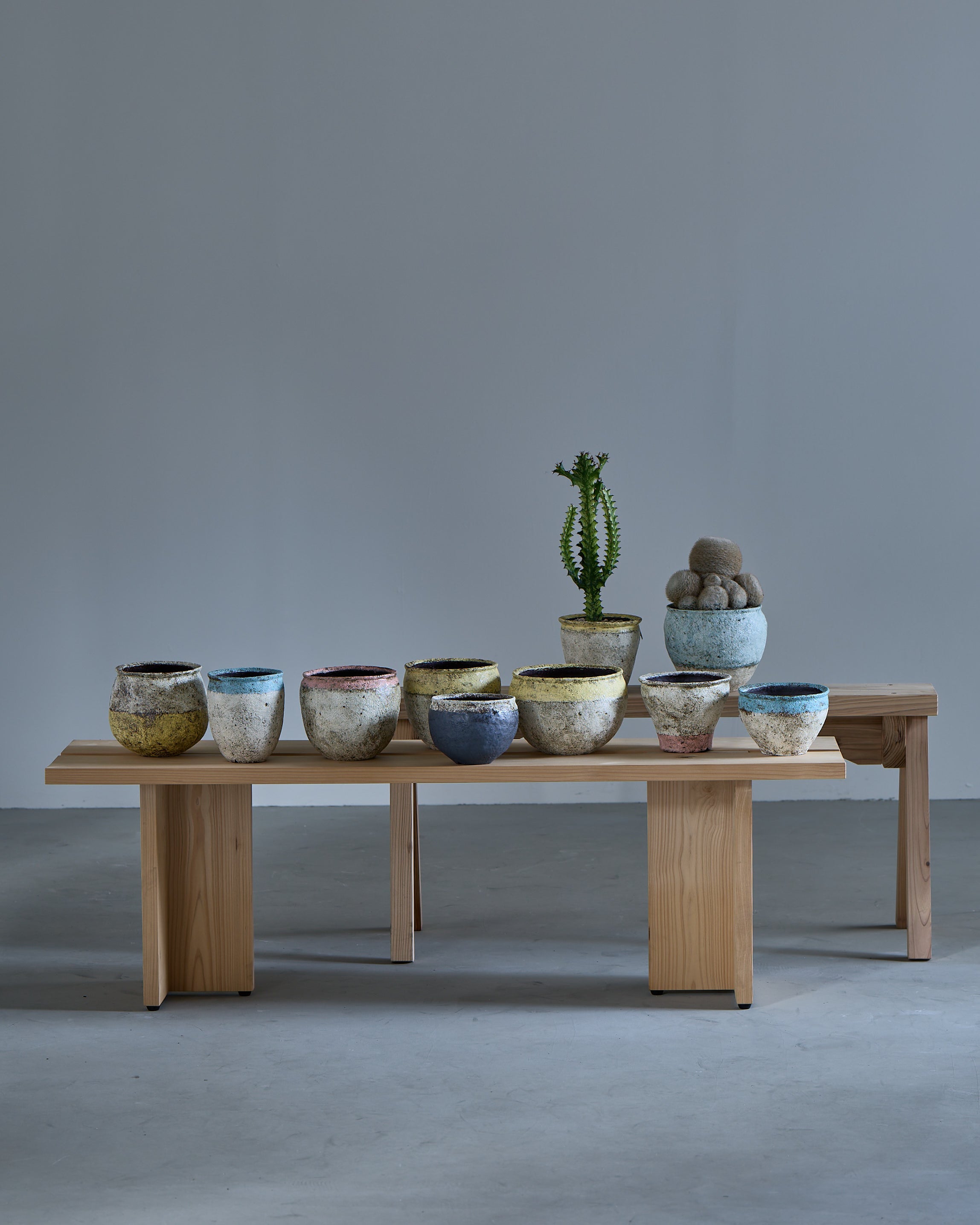 Tomoko Sakai – New Works Arrival Colored Hakeme Plant Pots