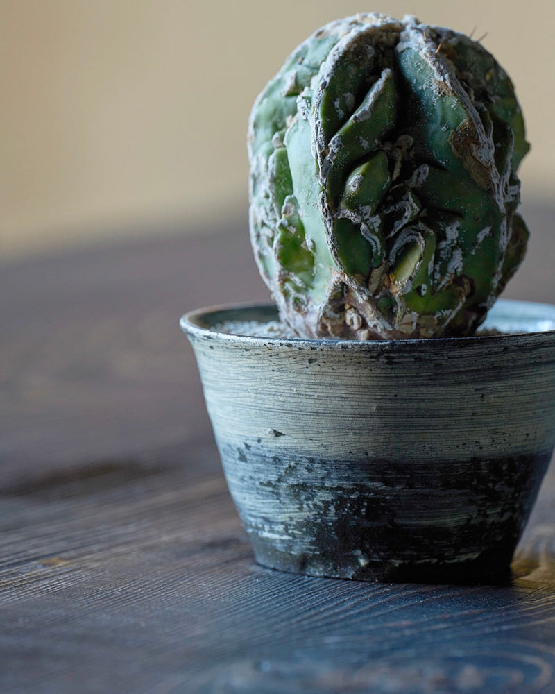 Atsushi Ogata’s Black-Ground Hakeme Planter