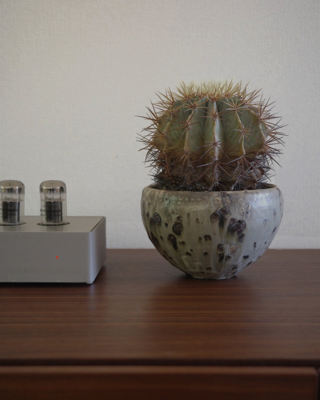 Shohei Ono’s Shirogane-Glazed Planter