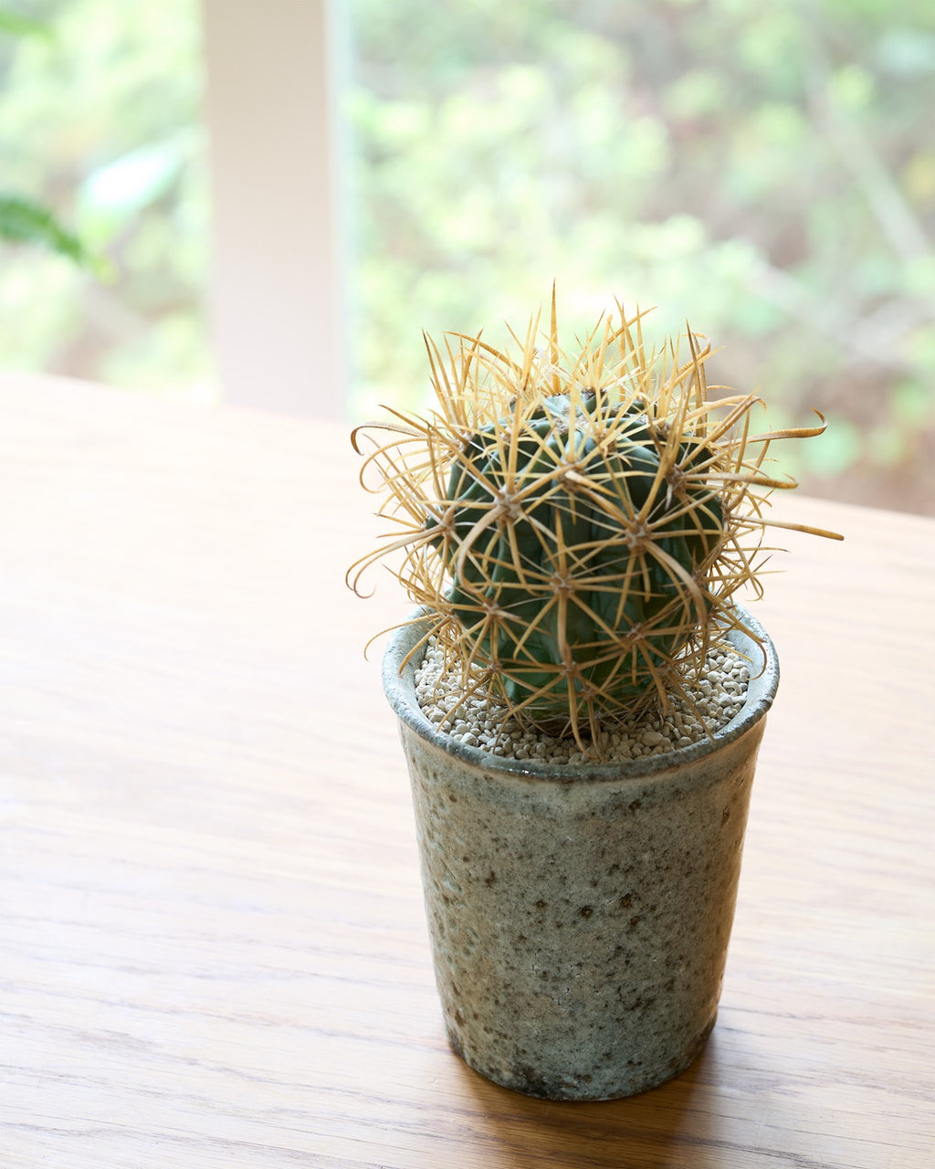 八田亨 / 自然釉植木鉢 Large