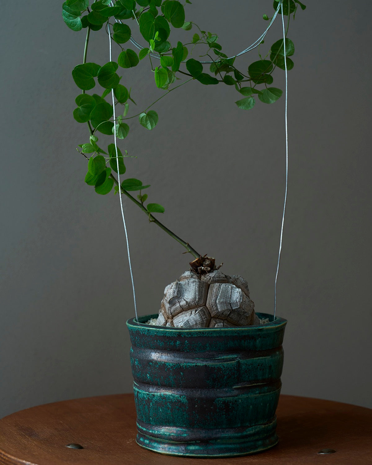 境道一 / 織部釉植木鉢 C