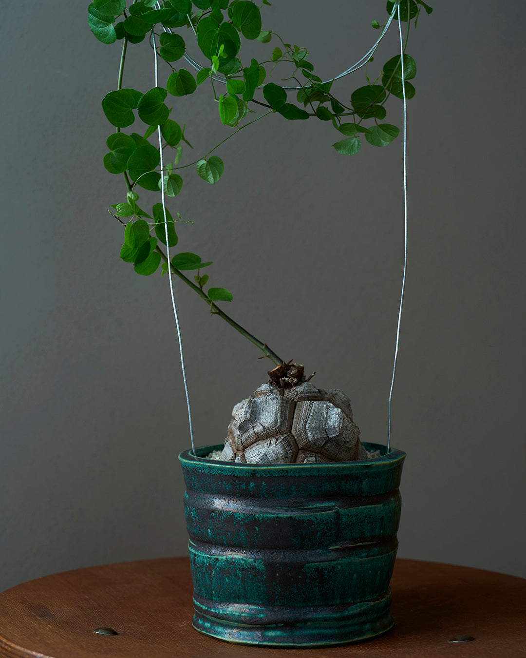 境道一 / 織部釉植木鉢 A