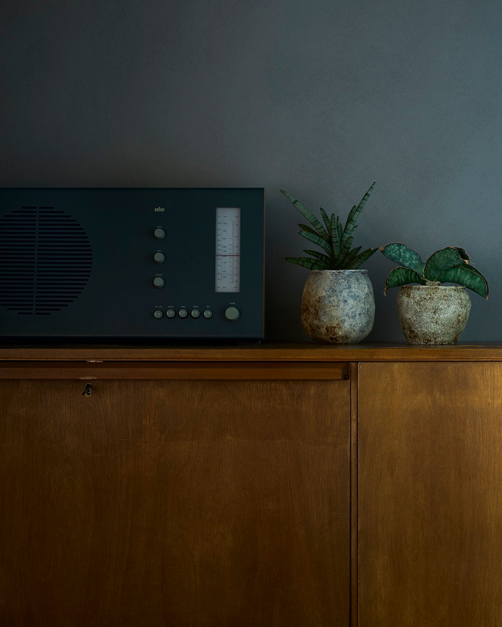 境知子 / 刷毛目植木鉢 B