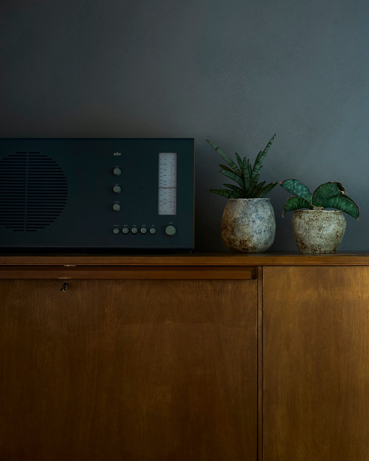 境知子 / 刷毛目植木鉢 G