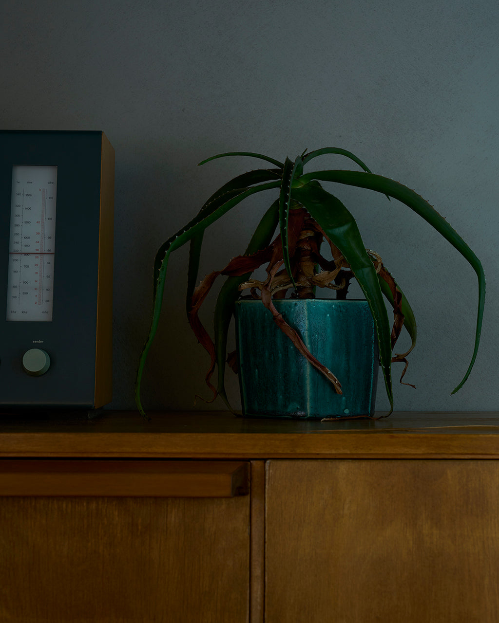 境道一 / 織部釉植木鉢 D