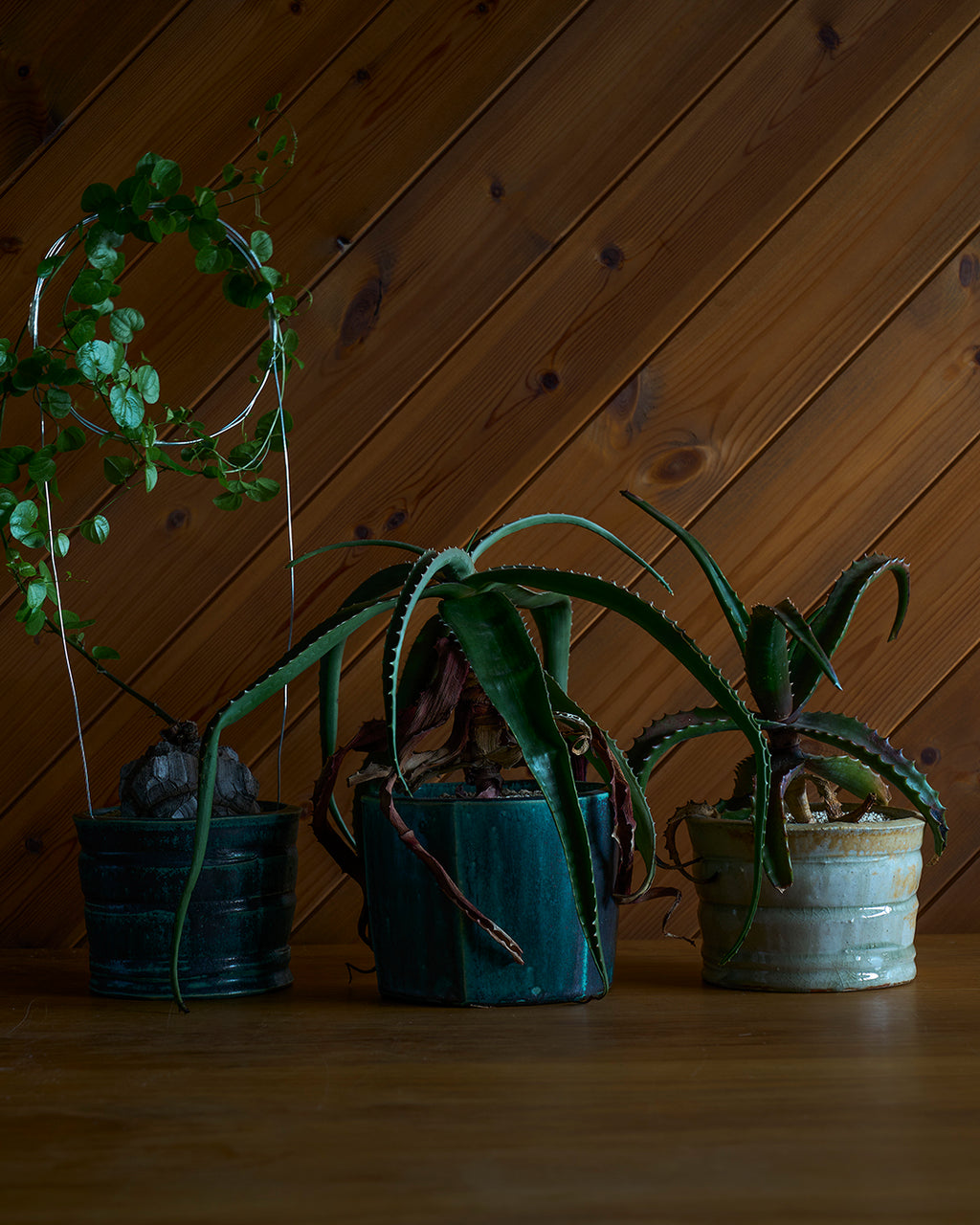 境道一 / 織部釉植木鉢 D