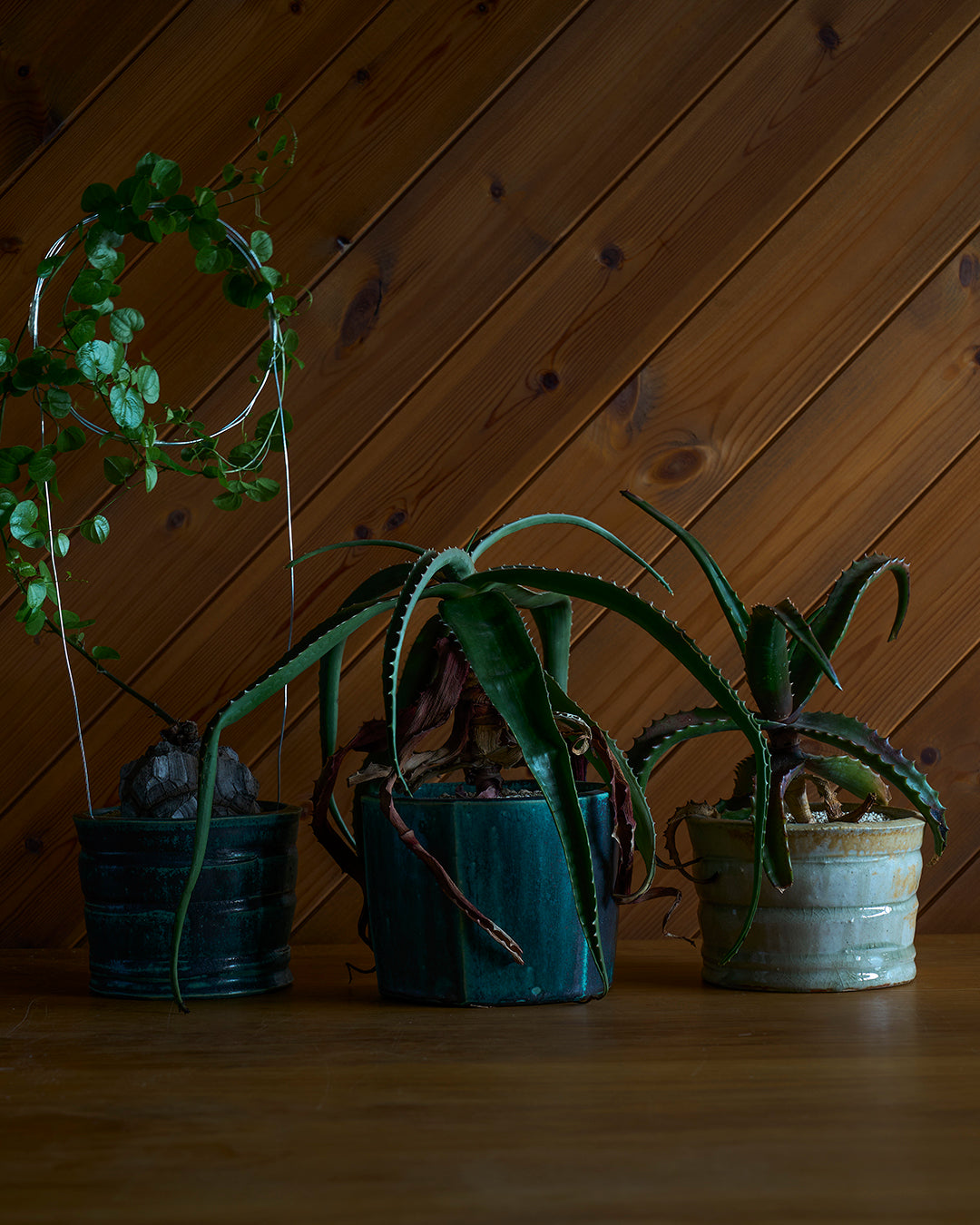 境道一 / 織部釉植木鉢 D
