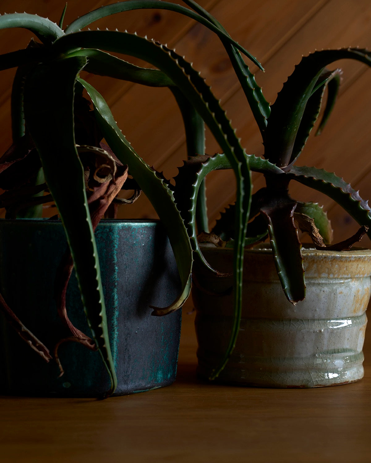 境道一 / ミモザ釉植木鉢 B