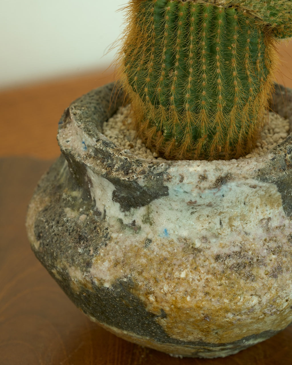 田宮亜紀 / 灰被壺植木鉢 Large A