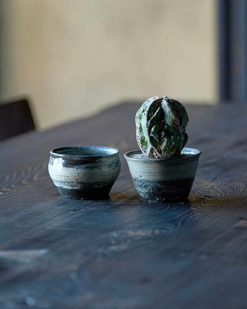 Atsushi Ogata / Plant Pot Small C