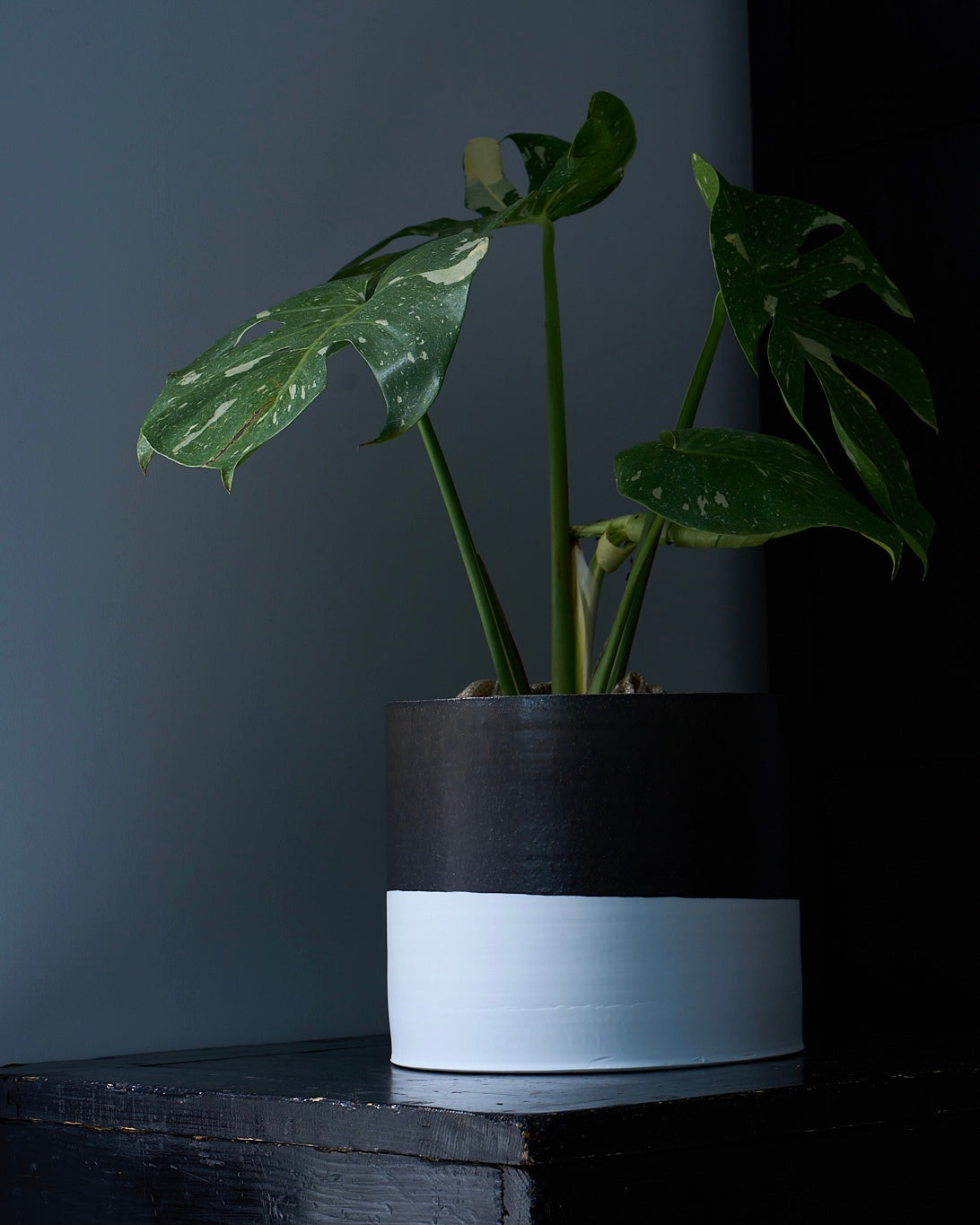 Naotsugu Yoshida / White Porcelain & Iron Glaze / Plant Vessel D