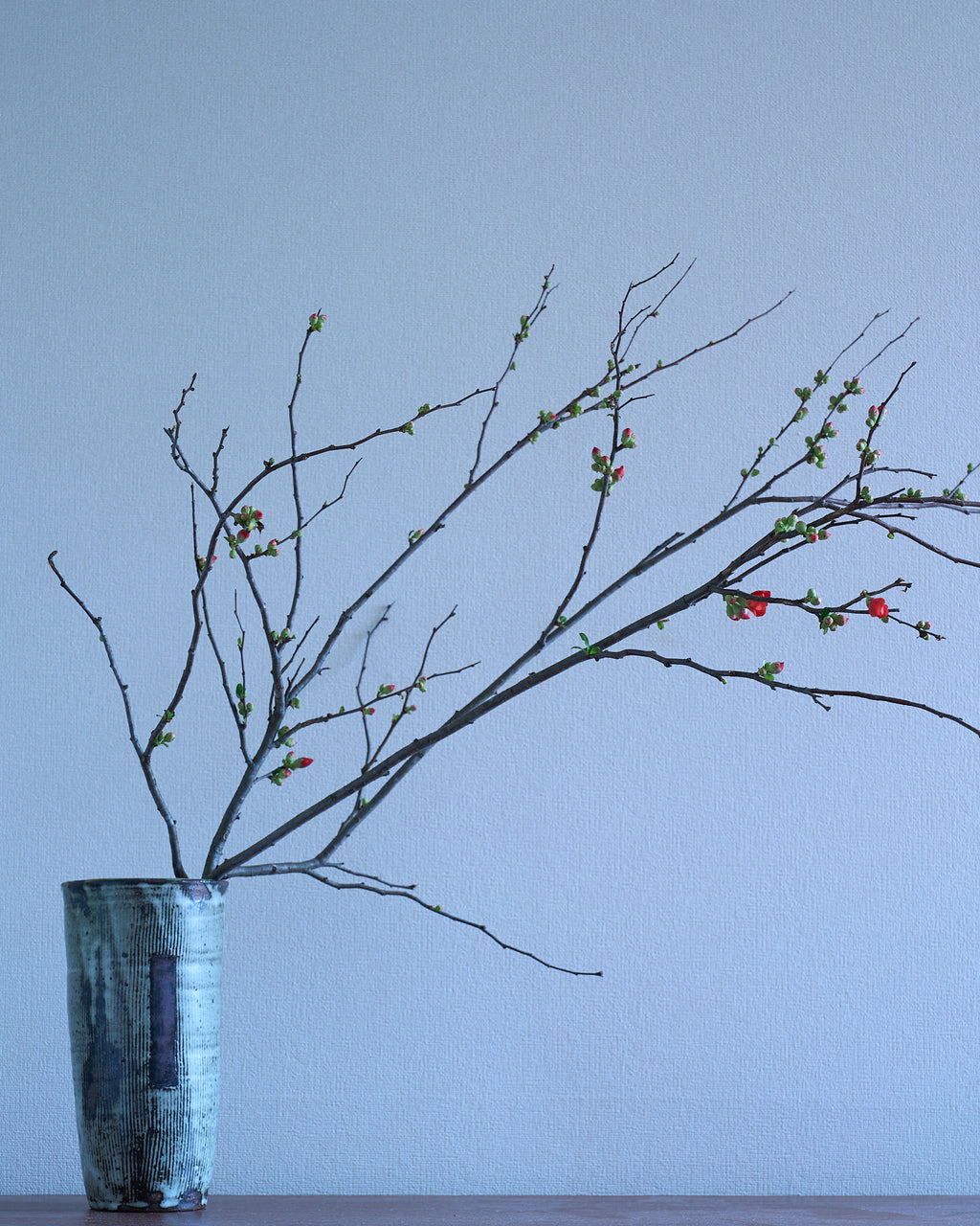 Teppei Ono / Flower Vase C