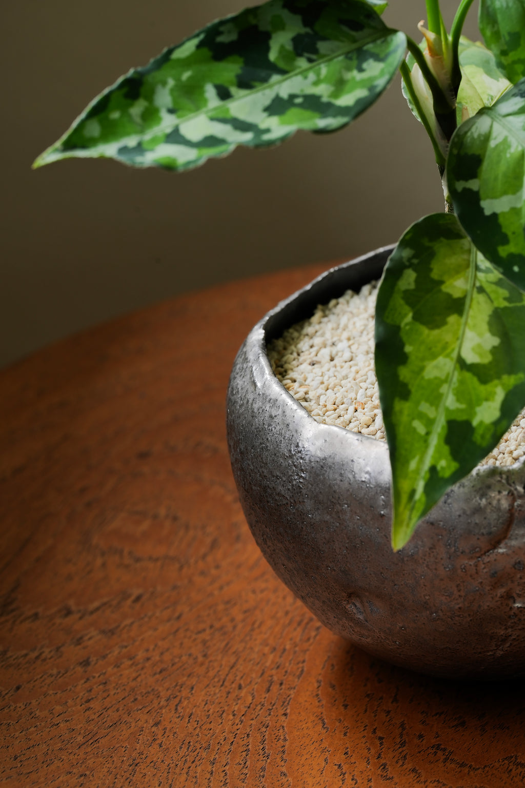 村上躍 / 内黒釉金彩植木鉢 A