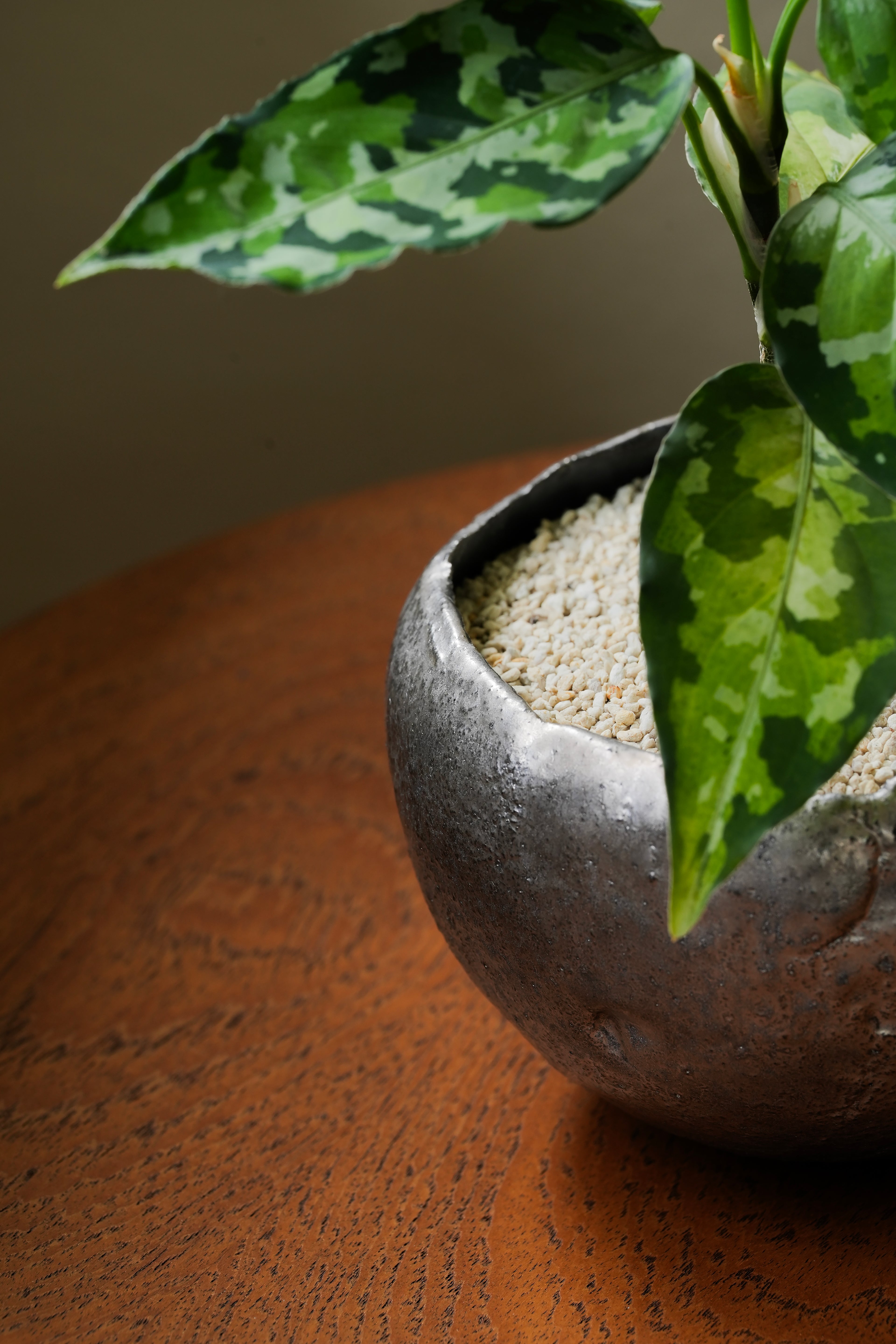 村上躍 / 内黒釉金彩植木鉢 A