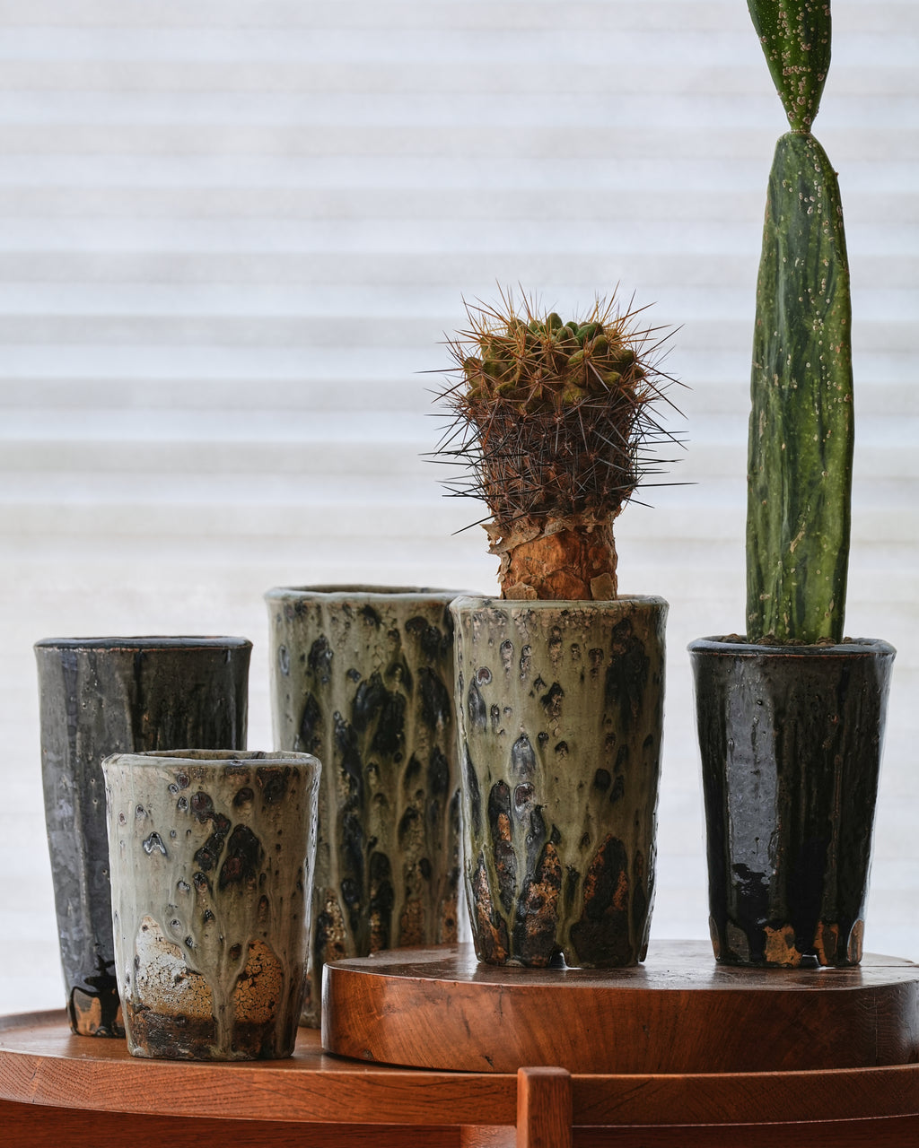 Shohei Ono / “Black Kesho” Plant Pot Medium A