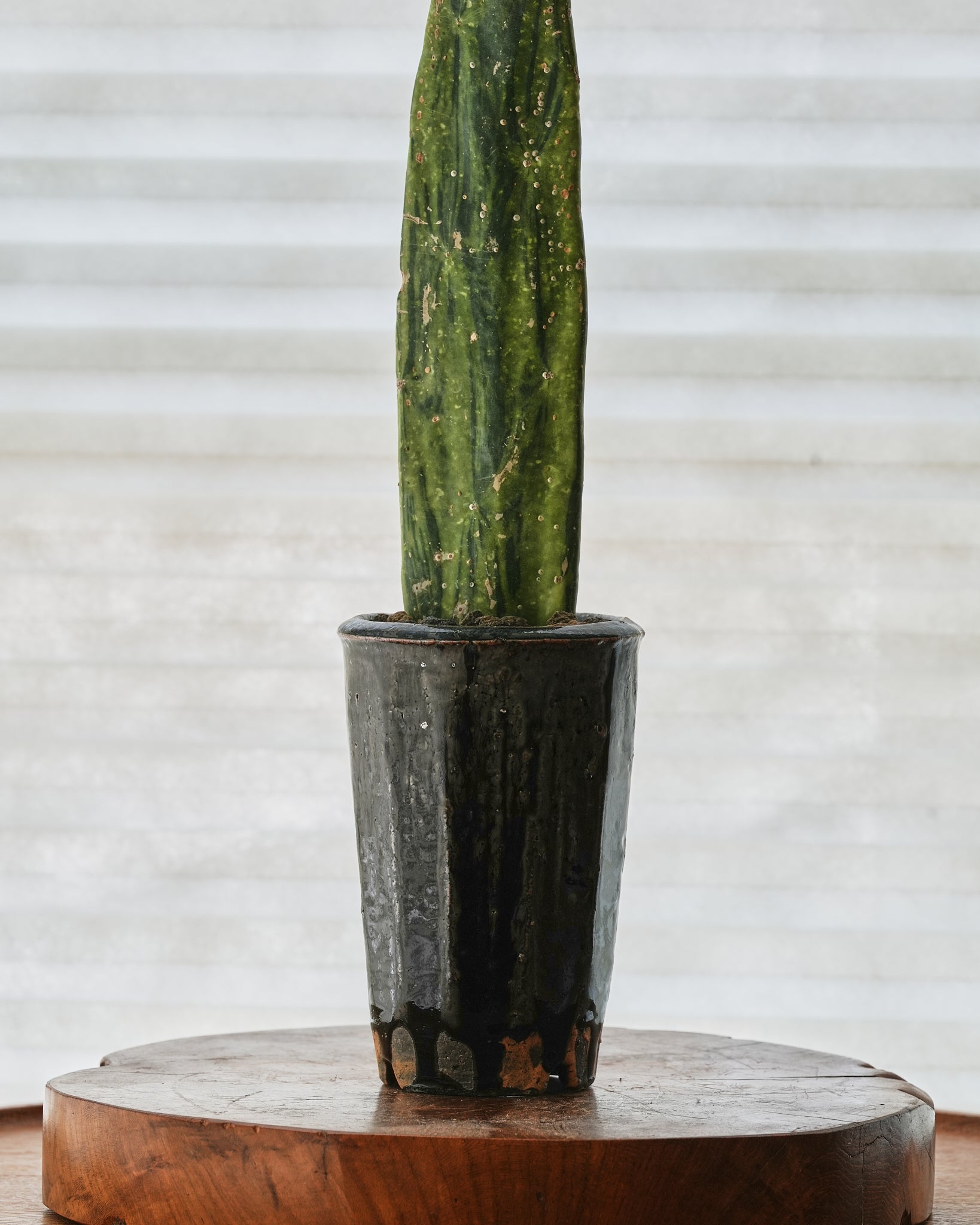 Shohei Ono / “Black Kesho” Plant Pot Medium A